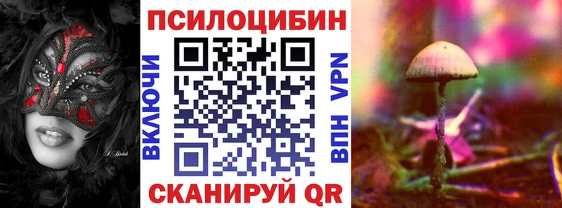 где купить   Зверево  Псилоцибиновые грибы MAGIC MUSHROOMS 